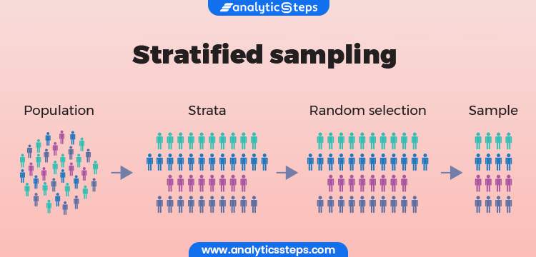 Stratified Random Sampling Everything You Need To Know Analytics Steps